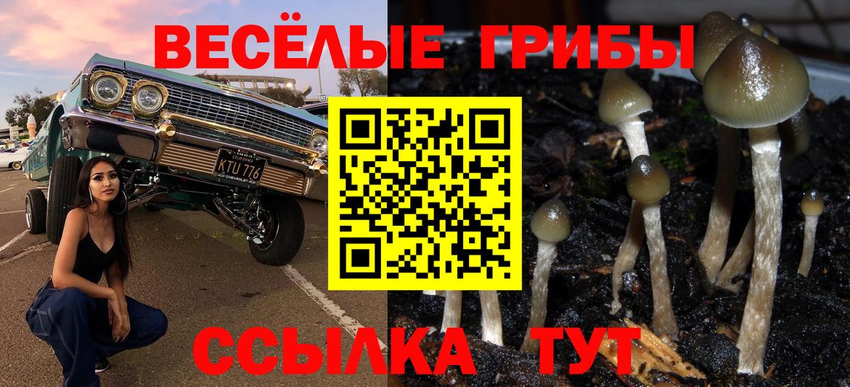 Ноябрьск  Галлюциногенные грибы GOLDEN TEACHER  Вход с VPN 